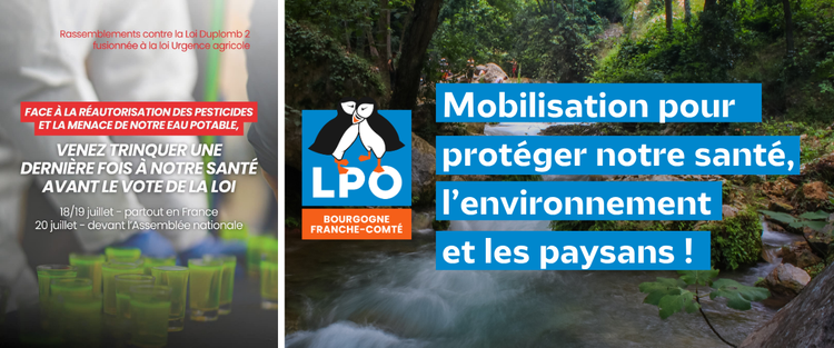 Mobilisation pour protéger notre santé, l’environnement et les paysans !